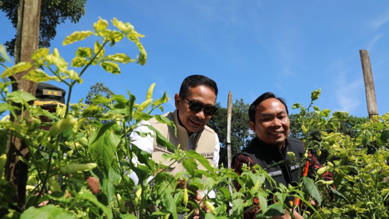 Pertengahan Ramadhan, Walikota Wahyu Pastikan Stok Cabai dan Telur Aman